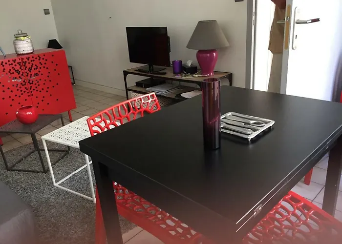 Le Petit Lecoy Apartment Saumur